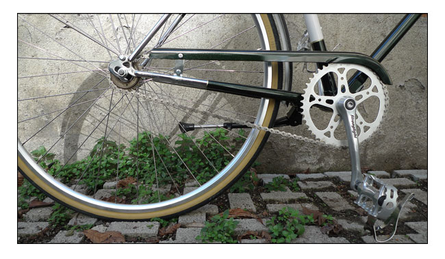 ferrara - image loading, please wait...